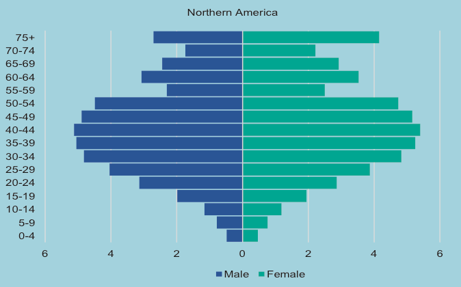 Age and sex distribution of international migrants 2019 Northern America