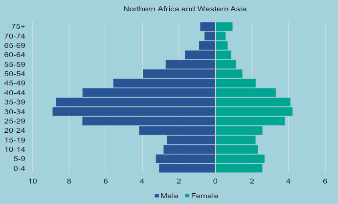 Age and sex distribution of international migrants 2019 Nothern Africa Western Asia