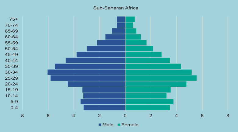 Age and sex distribution of international migrants 2019 Sub Saharan Africa