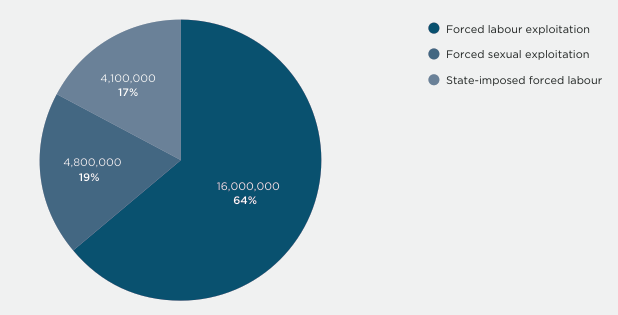 Number and percentage distribution of victims of forced labour by sub category