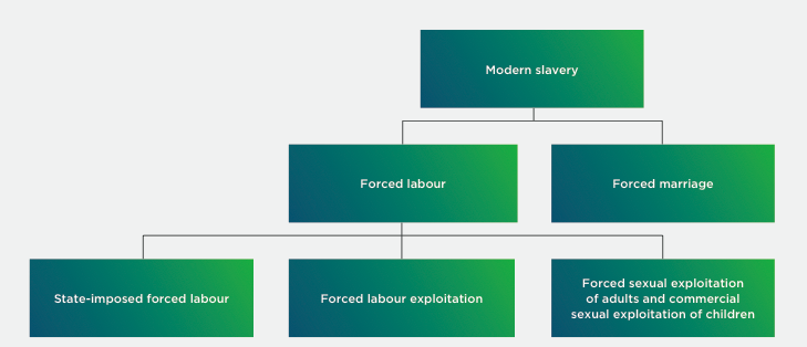 Typology of modern slavery